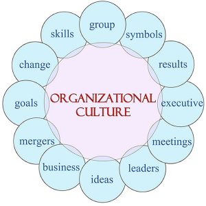 Què s'entén per cultura organitzacional?